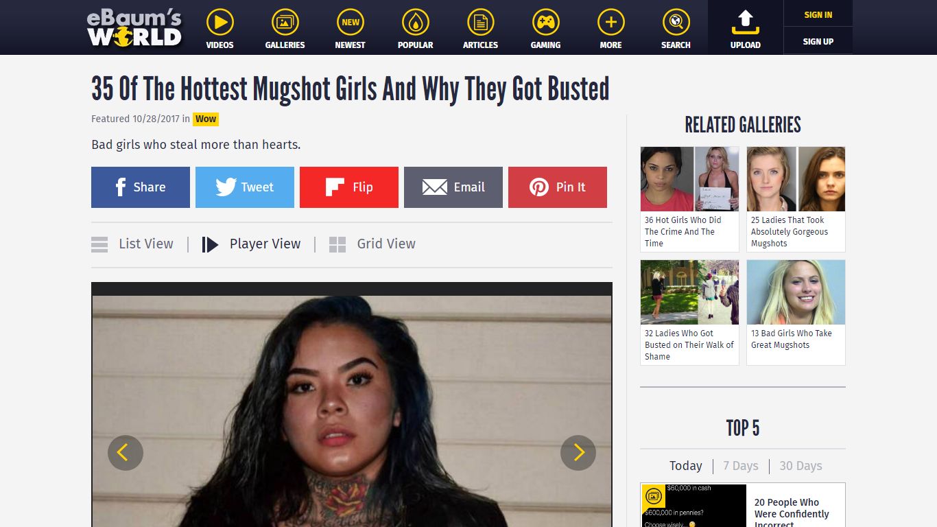 35 Of The Hottest Mugshot Girls And Why They Got Busted